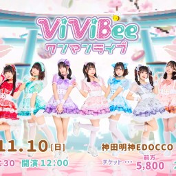 ViViBee 6th ワンマンライブ 〜はしゃいじゃえよ、じゃんじゃんね!〜