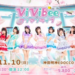 ViViBee 6th ワンマンライブ 〜はしゃいじゃえよ、じゃんじゃんね！〜