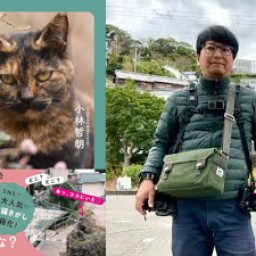 小林哲朗の 『おるね 路地猫さがし』2025