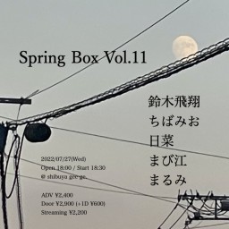 Spring Box Vol.11