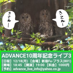 ADVANCE10周年記念ライブ3