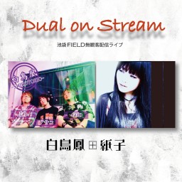 Dual on Stream 2月28日