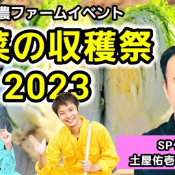 【ボク農】白菜の収穫祭2023【イベント】