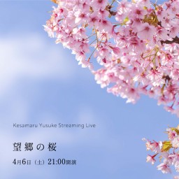 配信ワンマン「望郷の桜」