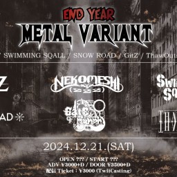 12/21 END YEAR METAL VARIANT