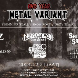 12/21 END YEAR METAL VARIANT