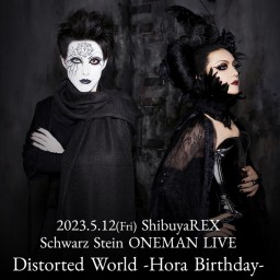Distorted World -Hora Birthday-