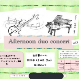 Afternoon duo concert