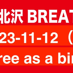 2023-11-12（昼）free as a bird