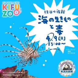 KIFUZOO桂浜水族館「海の生きものと毒」