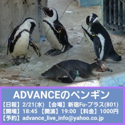 ADVANCEのペンギン
