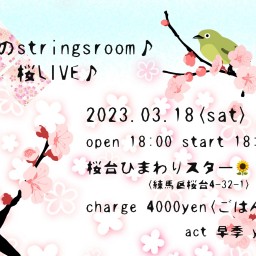 早季のstringsroom♪ 桜LIVE🌸