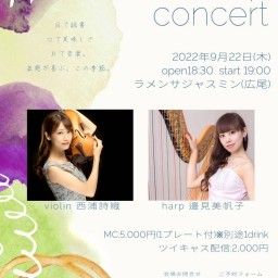 violin&harp Concert