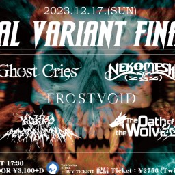 12/17 METAL VARIANT FINAL DAY2