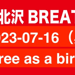 2023-07-16 （昼） free as a bird