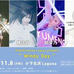 『Windy Day』2024.11.8