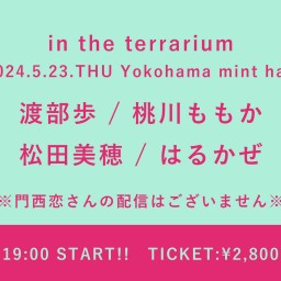 【2024/5/23】 in the terrarium