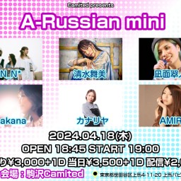 A-Russian mini【AMIRI】