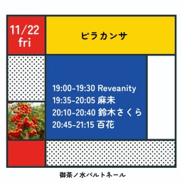 11/22 ピラカンサ