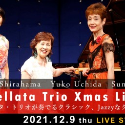 Stellata Trio Xmas Live