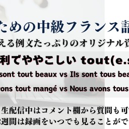 113. 便利でややこしい中性代名詞（形容詞）tout(e.s)を総覧