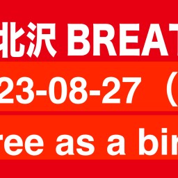 2023-08-27（昼）free as a bird