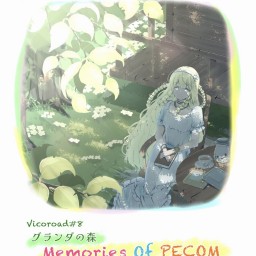 12/1 19:00 グランダの森 Memories of PECOM