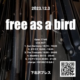 2023-12-03（夜）free as a bird