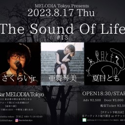 【The Sound Of Life #13】