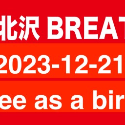 2023-12-21 free as a bird