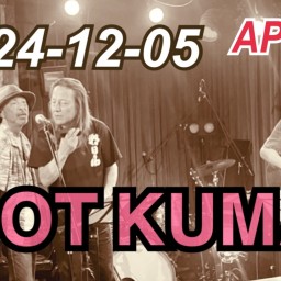 「HOT KUMA LIVE AT APIA40」