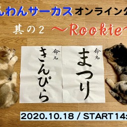 わんわんサーカスオンライン公演　其の２〜Rookie〜