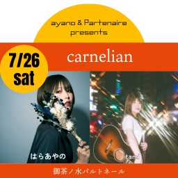 7/26carnelian