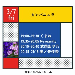 3/7 カンパニュラ