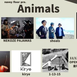 11/12『Animals』