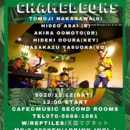 12/12 昼 Chameleons Session