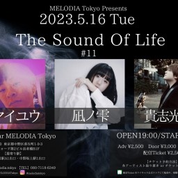 【The Sound Of Life #11】