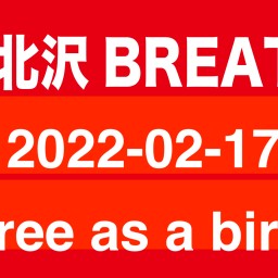 2022-02-17 Free as a bird