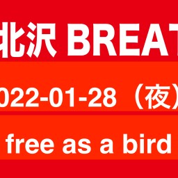 2022-01-28 Free as a bird