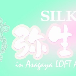 SILK 弥生 FES in AsagayaLOFT 2024 視聴チケット