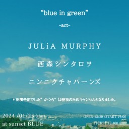 JULiA MURPHY /ニンニクチャハーンズ  / 西森シンタロヲ