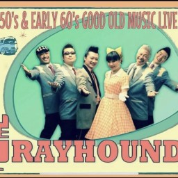 Gray Hounds Live3.15