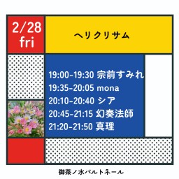 2/28ヘリクリサム