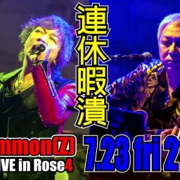 Shammon(Z) Live in Rose4