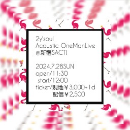 2y'soul Acoustic OneManLive