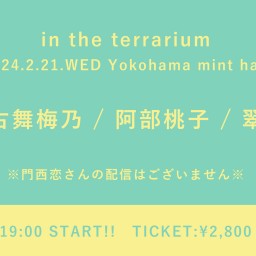 【2024/2/21】in the terrarium