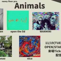 24/11/19『Animals』