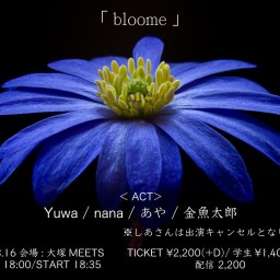 8/16「bloome」