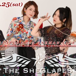 11/25(土) THE SHEGLAPES ワンマン！