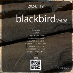 blackbird Vol.28